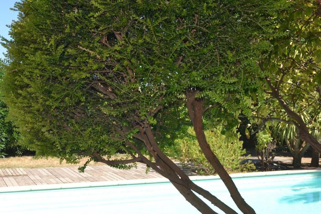 Pour Vous Daire Mèze Dış mekan fotoğraf